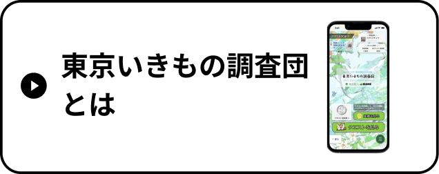 東京いきもの調査団について