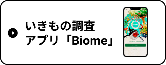ダウンロード