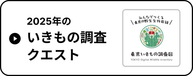クエスト