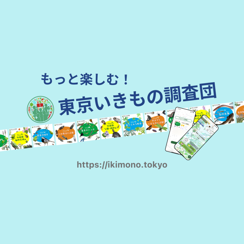 もっと楽しむ!東京いきもの調査団2023夏編