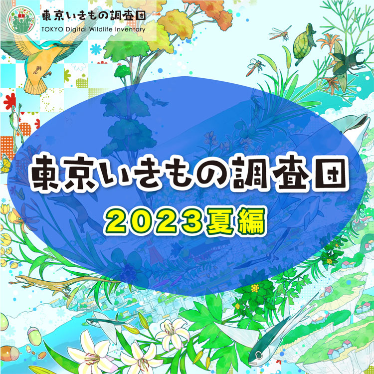 東京いきもの調査団 2023夏編(終了しました)