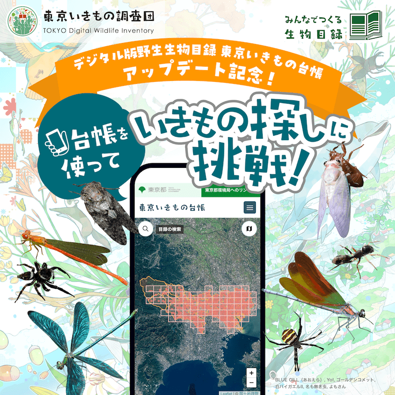 東京いきもの調査団2025 台帳アップデート記念クエスト