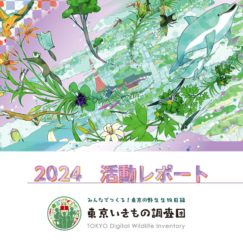 東京いきもの調査団2024活動レポート