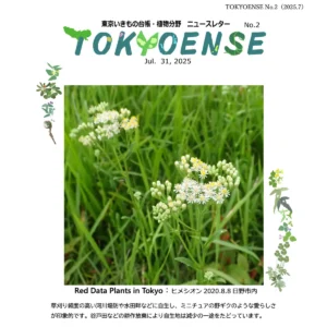 東京いきもの台帳・植物分野 ニュースレター No.2