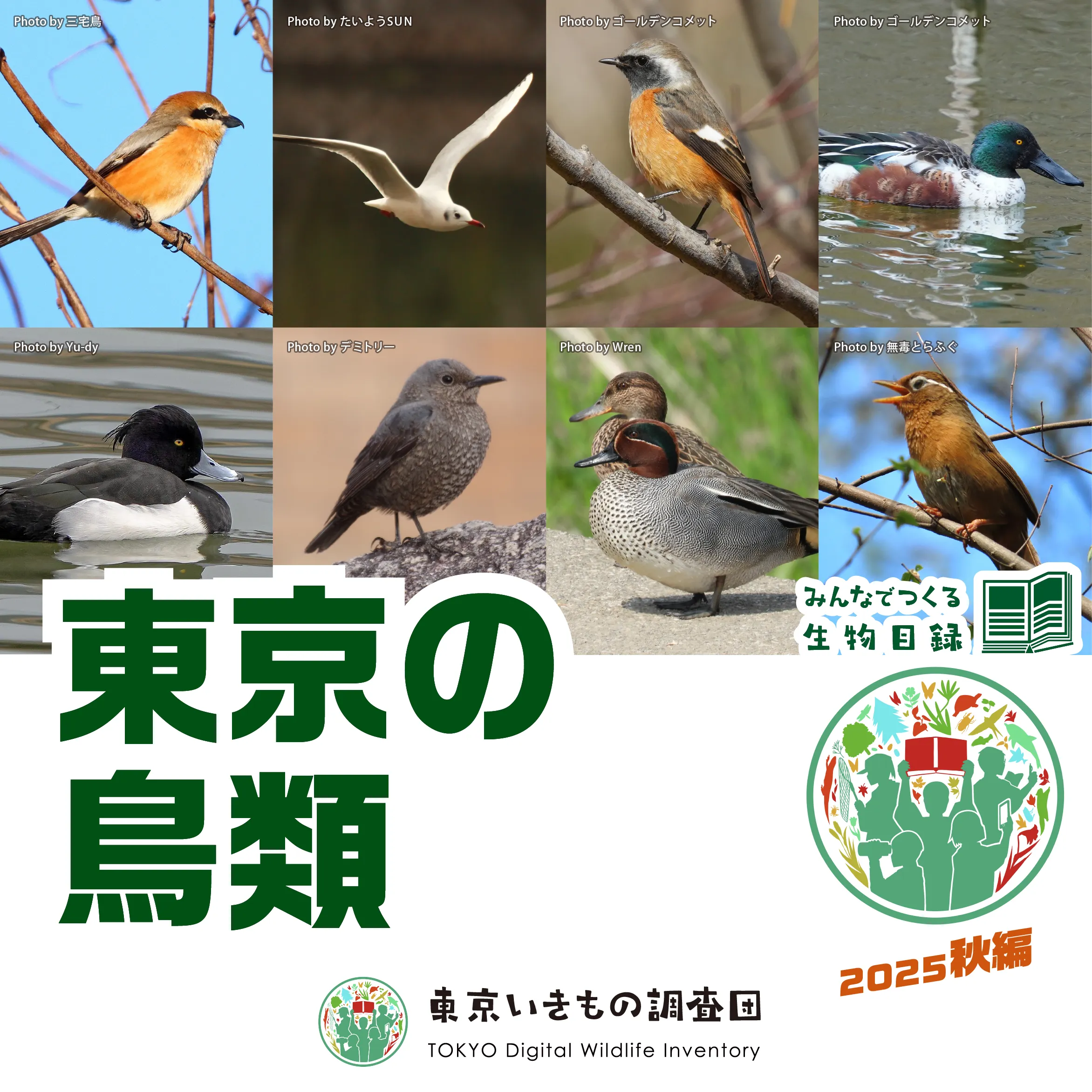 251008東京いきもの調査団2025秋