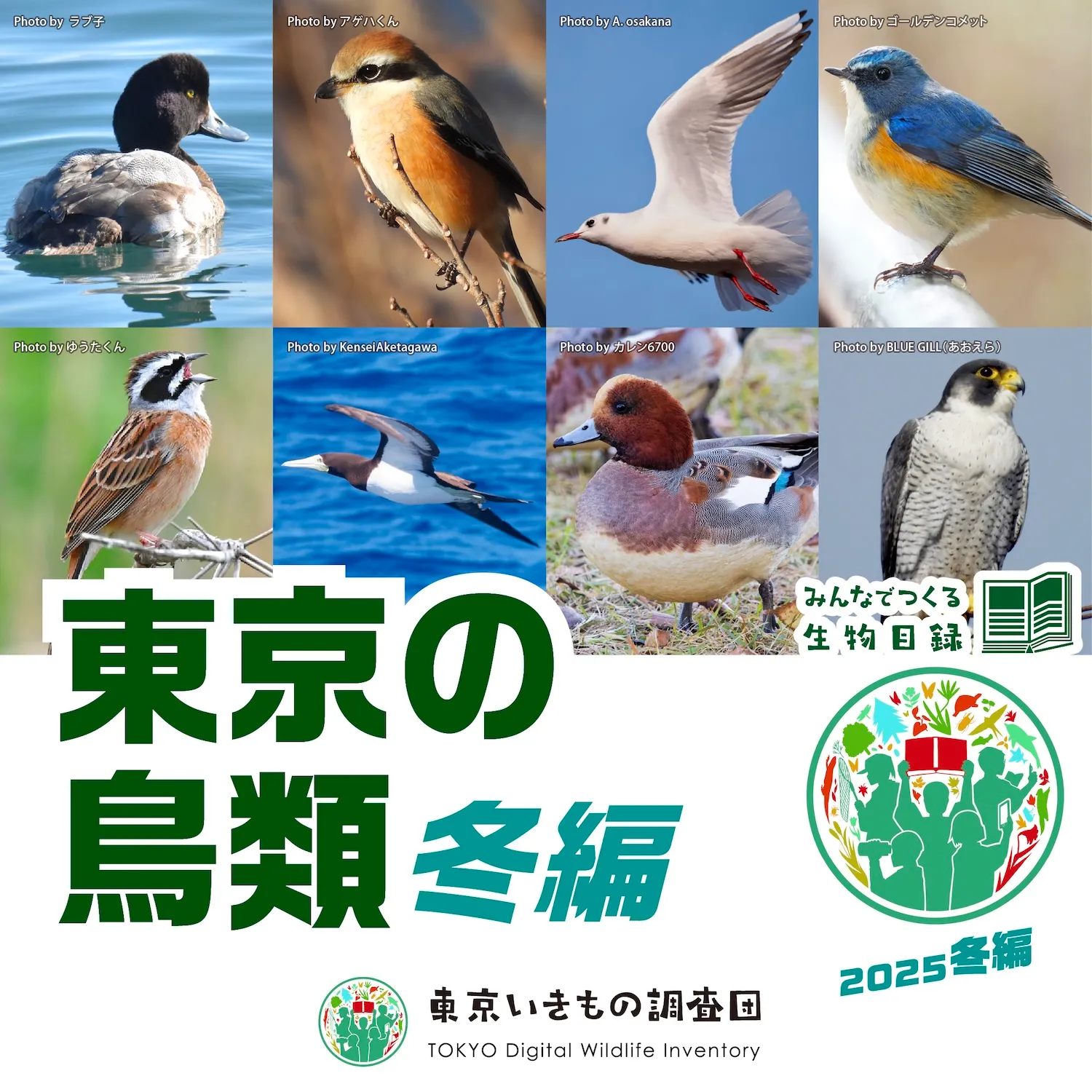 東京いきもの調査団クエスト