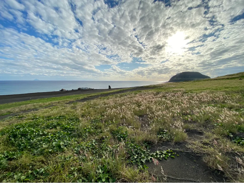 写真：在来種ナガミハマナタマメや外来種ルビーガヤなどが混生する海岸草原。 中央右に摺鉢山、左に小さく南硫黄島が見える。 一般の人々は訪れることができないが、ここも東京都である。