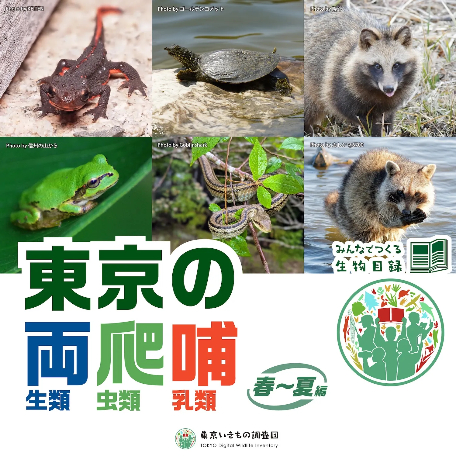 東京いきもの調査団クエスト