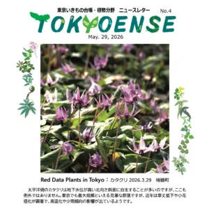 東京いきもの台帳・植物分野 ニュースレター No.4