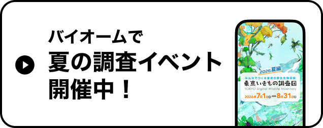 バイオームで夏の調査イベント開催中！