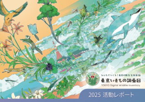 東京いきもの調査団 2025 活動レポート